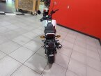 Thumbnail Photo 3 for New 2025 Honda Grom