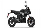 Thumbnail Photo 1 for New 2025 Honda Grom