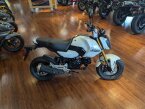 Thumbnail Photo 6 for New 2025 Honda Grom