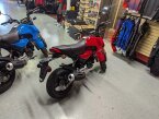 Thumbnail Photo 3 for New 2025 Honda Grom
