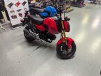 Thumbnail Photo 5 for New 2025 Honda Grom