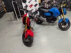 Thumbnail Photo 6 for New 2025 Honda Grom