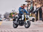 Thumbnail Photo 6 for New 2025 Honda Grom