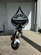 Thumbnail Photo 2 for New 2025 Honda Grom