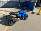 Thumbnail Photo 1 for New 2025 Honda Grom