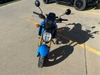 Thumbnail Photo 6 for New 2025 Honda Grom