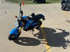 Thumbnail Photo 5 for New 2025 Honda Grom