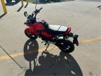 Thumbnail Photo 3 for New 2025 Honda Grom