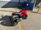 Thumbnail Photo 1 for New 2025 Honda Grom