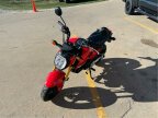 Thumbnail Photo 5 for New 2025 Honda Grom