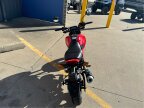 Thumbnail Photo 2 for New 2025 Honda Grom
