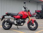 Thumbnail Photo 1 for New 2025 Honda Grom