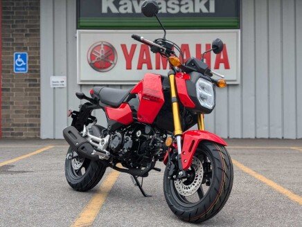 Photo 1 for New 2025 Honda Grom