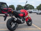 Thumbnail Photo 2 for New 2025 Honda Grom