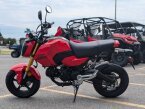 Thumbnail Photo 5 for New 2025 Honda Grom