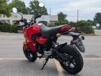 Thumbnail Photo 4 for New 2025 Honda Grom