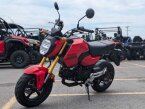 Thumbnail Photo 6 for New 2025 Honda Grom