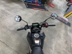 Thumbnail Photo 4 for New 2025 Honda Grom