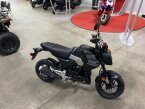 Thumbnail Photo 2 for New 2025 Honda Grom
