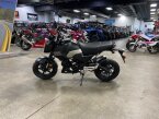 Thumbnail Photo 3 for New 2025 Honda Grom