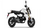 Thumbnail Photo 1 for New 2025 Honda Grom