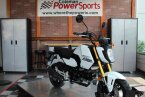 Thumbnail Photo 1 for New 2025 Honda Grom