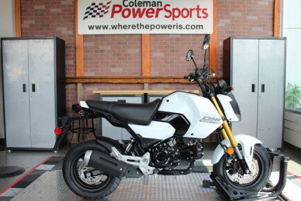 Photo 1 for New 2025 Honda Grom