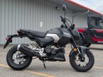 Thumbnail Photo 1 for New 2025 Honda Grom