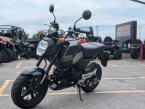 Thumbnail Photo 6 for New 2025 Honda Grom