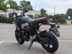 Thumbnail Photo 4 for New 2025 Honda Grom