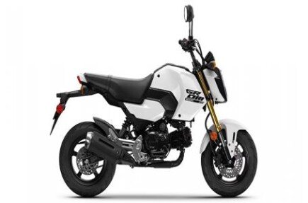 Photo 1 for New 2025 Honda Grom