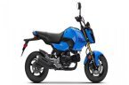 Thumbnail Photo 3 for New 2025 Honda Grom