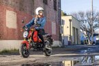 Thumbnail Photo 3 for New 2025 Honda Grom