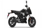 Thumbnail Photo 6 for New 2025 Honda Grom