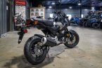Thumbnail Photo 3 for New 2025 Honda Grom