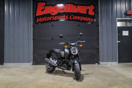Photo 1 for New 2025 Honda Grom