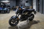 Thumbnail Photo 6 for New 2025 Honda Grom