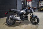 Thumbnail Photo 2 for New 2025 Honda Grom
