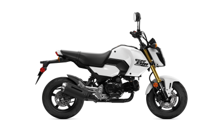 Photo 1 for New 2025 Honda Grom