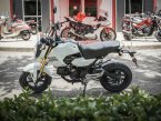 Thumbnail Photo 6 for New 2025 Honda Grom