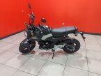 Thumbnail Photo 1 for New 2025 Honda Grom