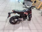 Thumbnail Photo 5 for New 2025 Honda Grom