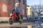 Thumbnail Photo 1 for New 2025 Honda Grom
