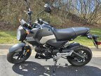 Thumbnail Photo 1 for 2025 Honda Grom