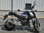 Thumbnail Photo 6 for 2025 Honda Grom