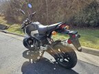 Thumbnail Photo 2 for 2025 Honda Grom