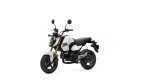 Thumbnail Photo 6 for New 2025 Honda Grom