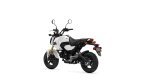 Thumbnail Photo 4 for New 2025 Honda Grom
