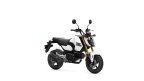 Thumbnail Photo 2 for New 2025 Honda Grom