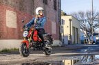 Thumbnail Photo 2 for New 2025 Honda Grom